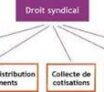 Droit syndical